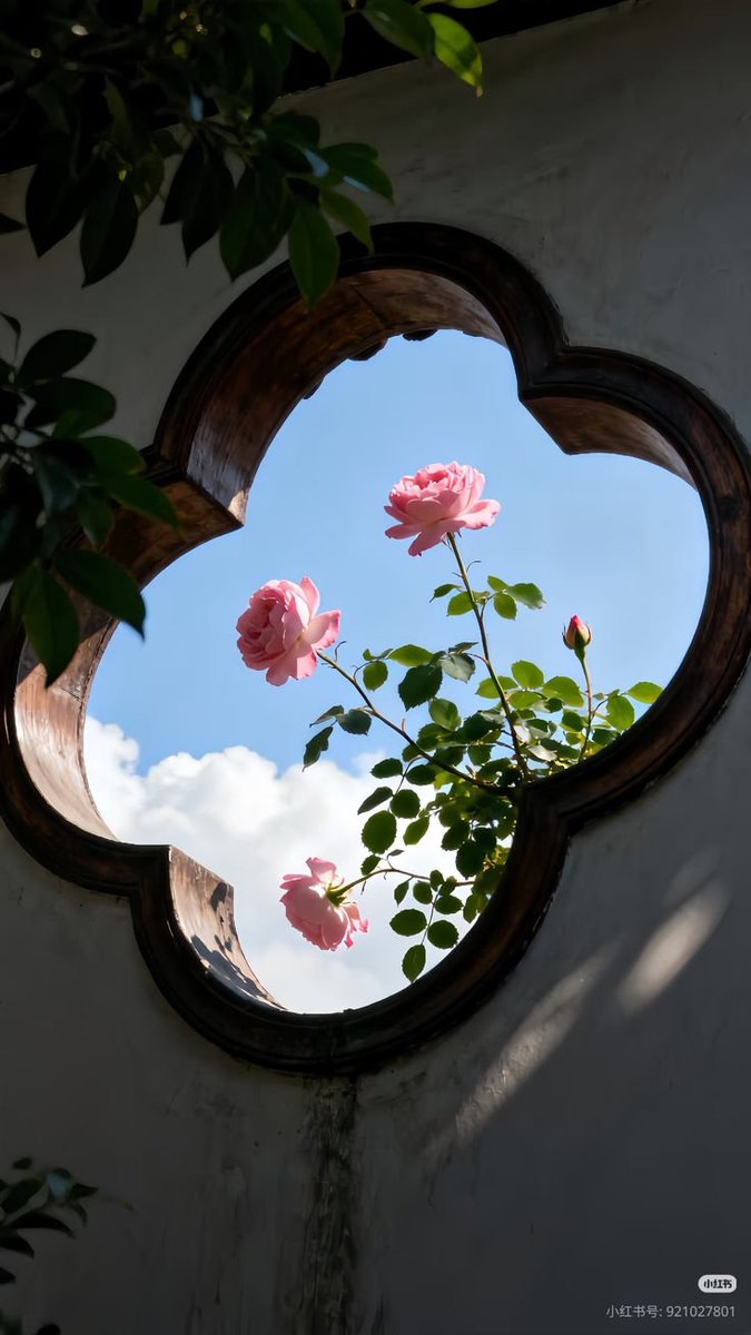 blossom. tweet media