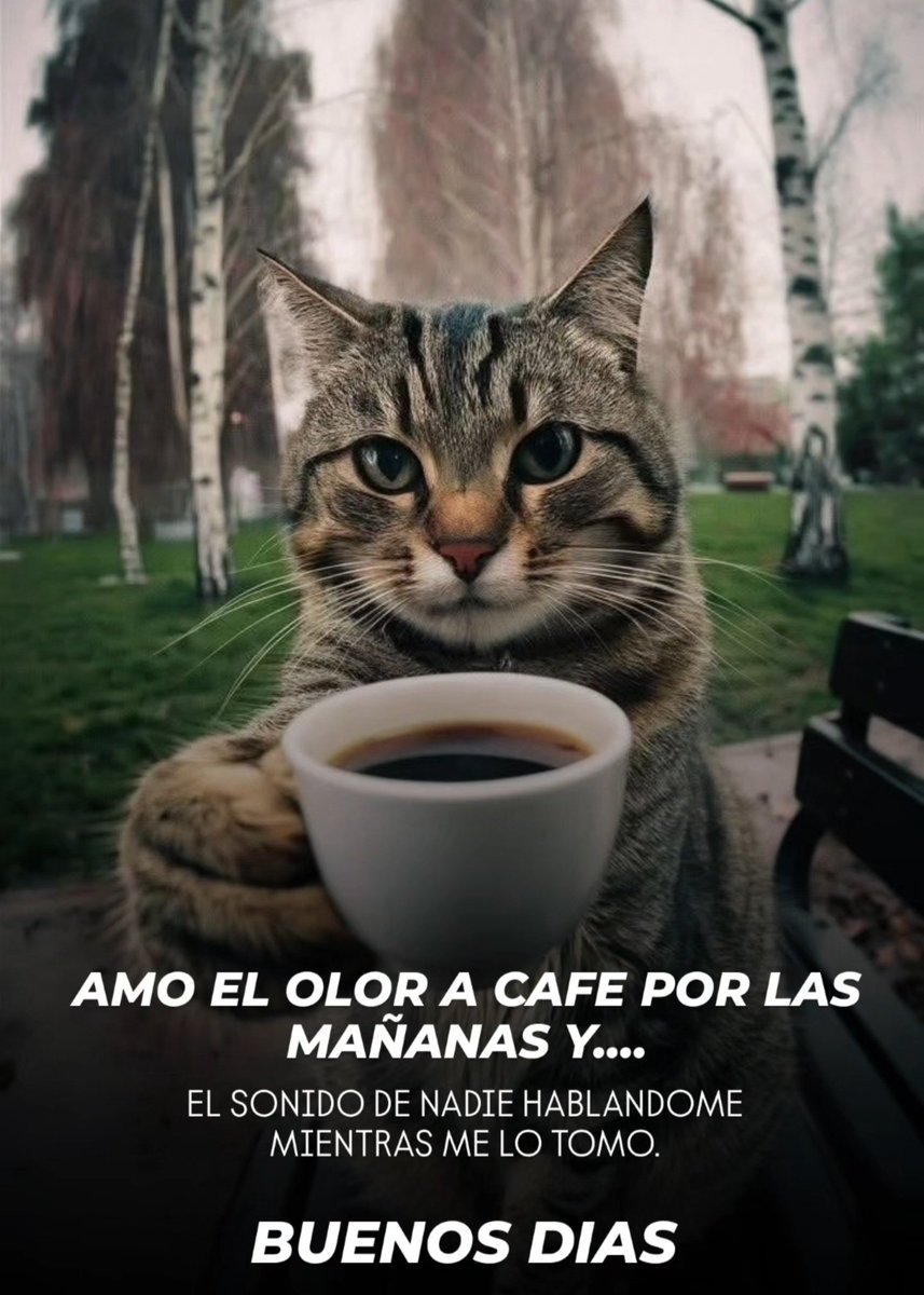 ALFERDJ1's tweet photo. Amo el olor a café por las mañanas y
el sonido de nadie hablándome mientras me lo tomo.       𝑩𝑼𝑬𝑵𝑶𝑺 𝑫𝑰𝑨𝑺 
#photooftheday #coffee https://t.co/yFOUzBWjza