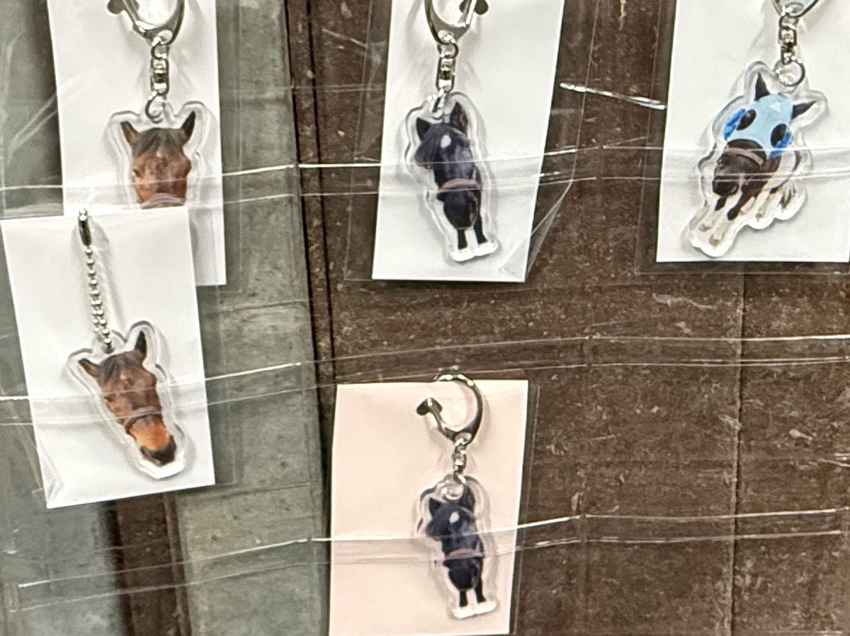 WEBPAMDA tweet media