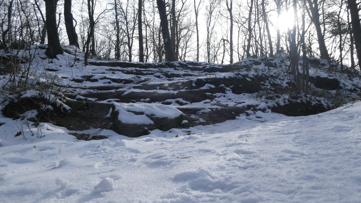 IceView_Nine's tweet image. Few #photo from my trip. Part 02 

Little walk on a #trail.  

Share, like and comment. 
Follow for more. 
Thank you for visiting.  

#nature #forest #photography