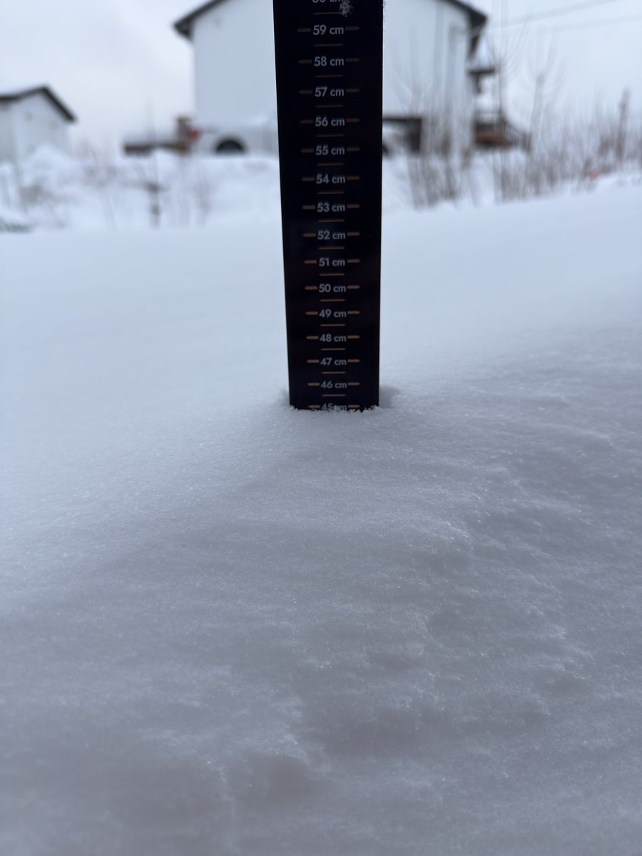 Rob Lambert tweet media