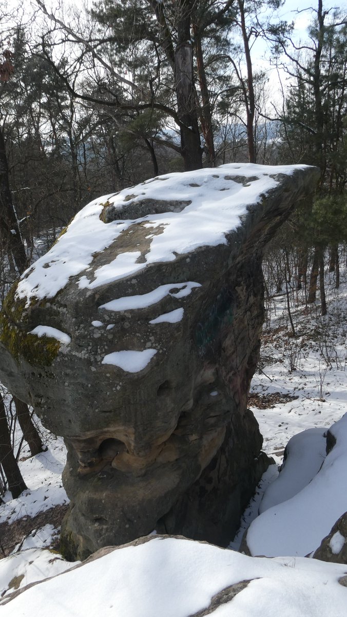 IceView_Nine's tweet image. Few #photo from my trip. Part 02 

Little walk on a #trail.  

Share, like and comment. 
Follow for more. 
Thank you for visiting.  

#nature #forest #photography