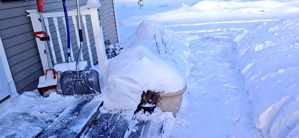 Whoa! Shut It Down tweet media