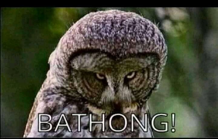 MasseurBless's tweet photo. @XekiHlongwane You will regret the course until balandwa ma Hawks, be humble. https://t.co/14ZNNiPdiW