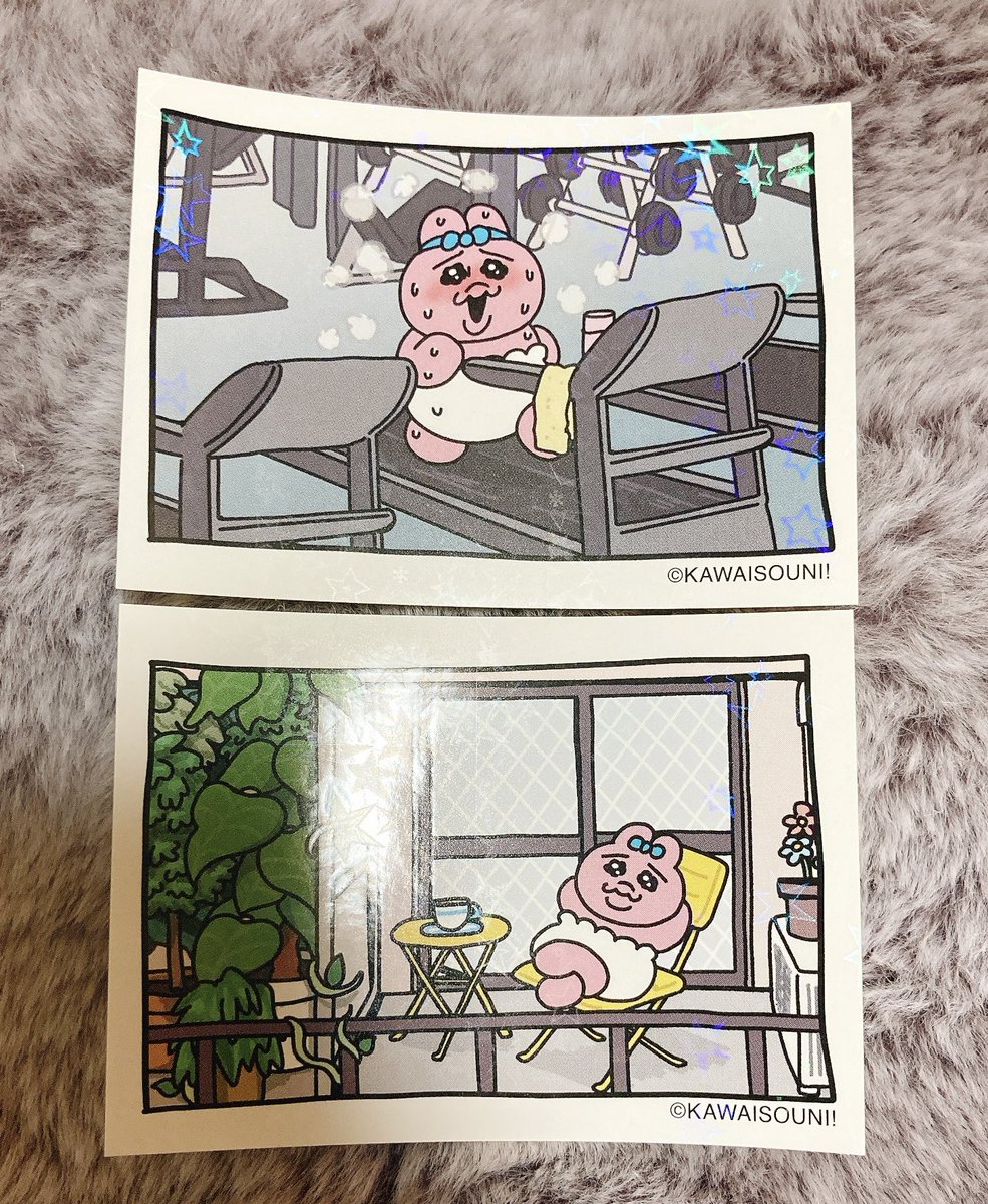 まろちゃん🐹 tweet media