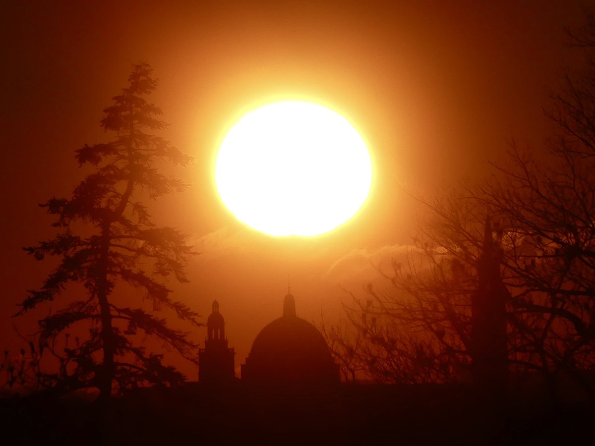 C on the scene tweet media