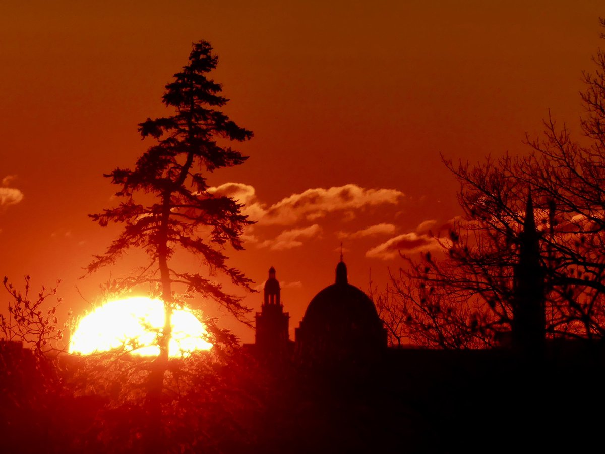 C on the scene tweet media