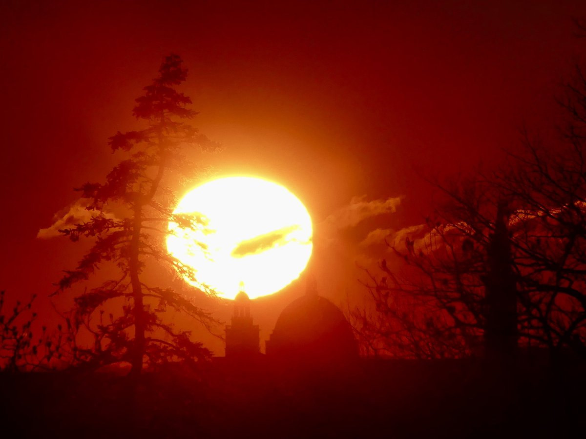 C on the scene tweet media