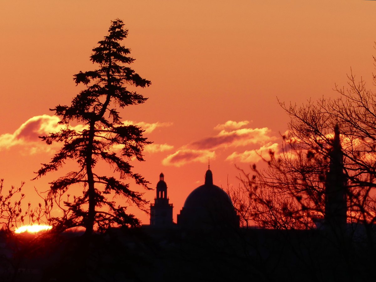 C on the scene tweet media