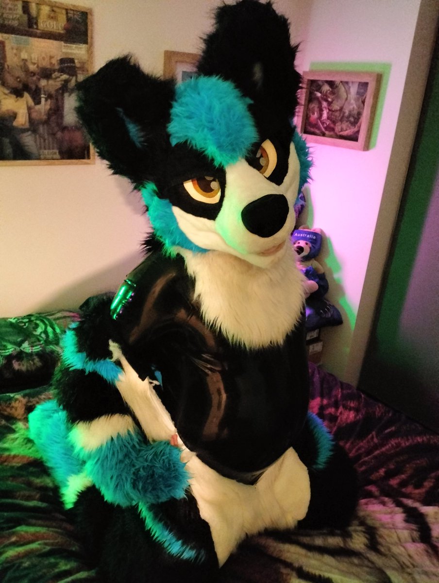 ShadowRK9 tweet media