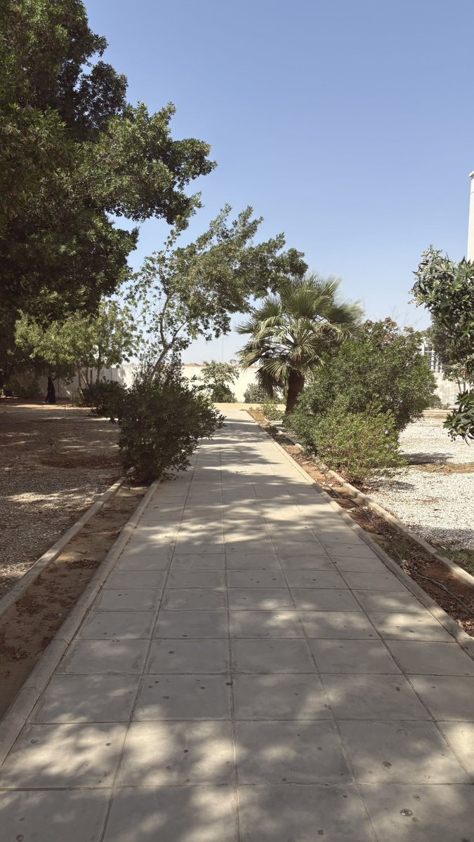 Alanoud |العنود tweet media