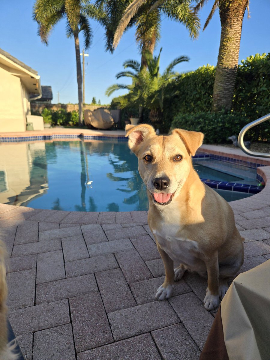 She makes my life better just by being in it. 💛🌴