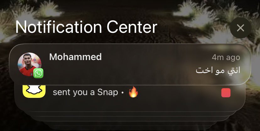 ماسويت لهم حلى البسكوت