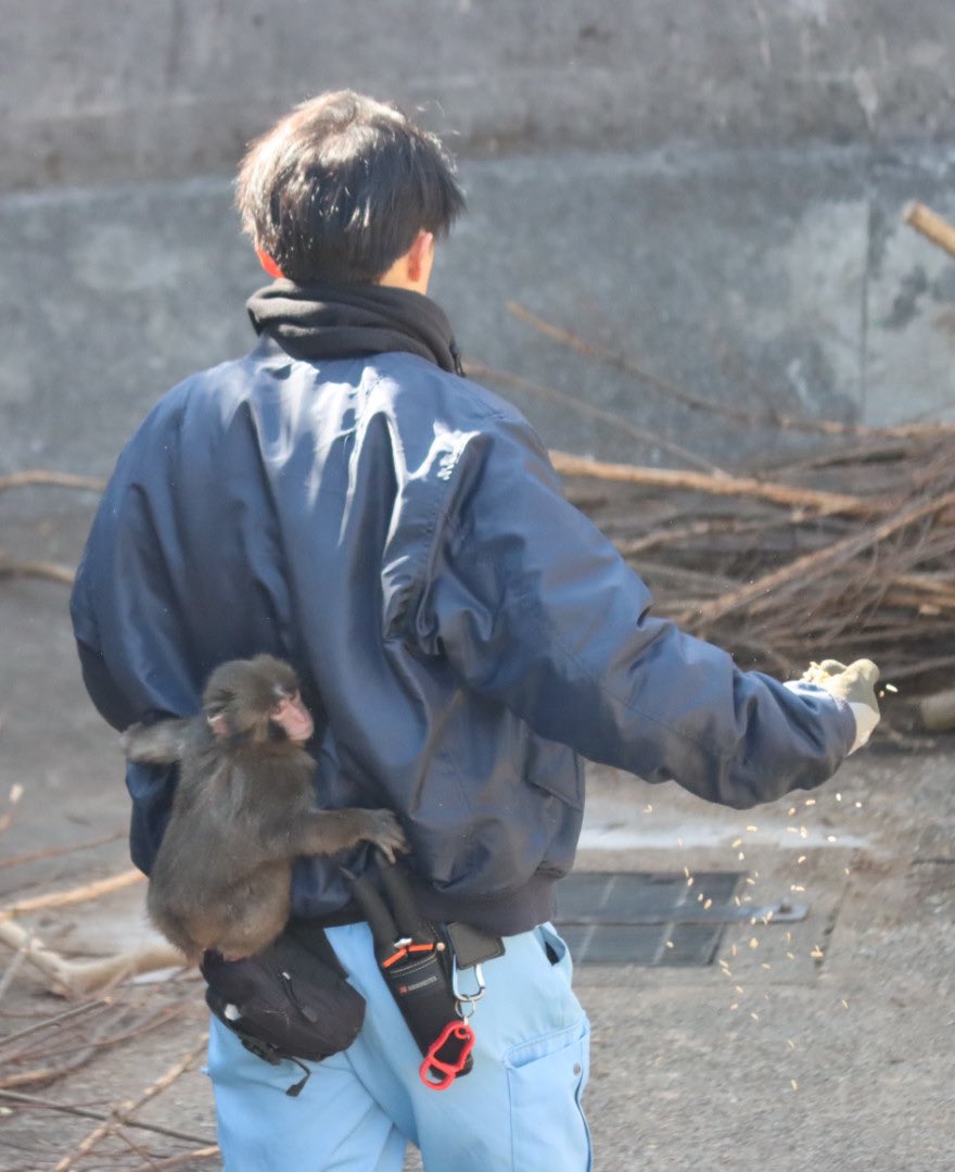 Out Of Context Animal tweet media