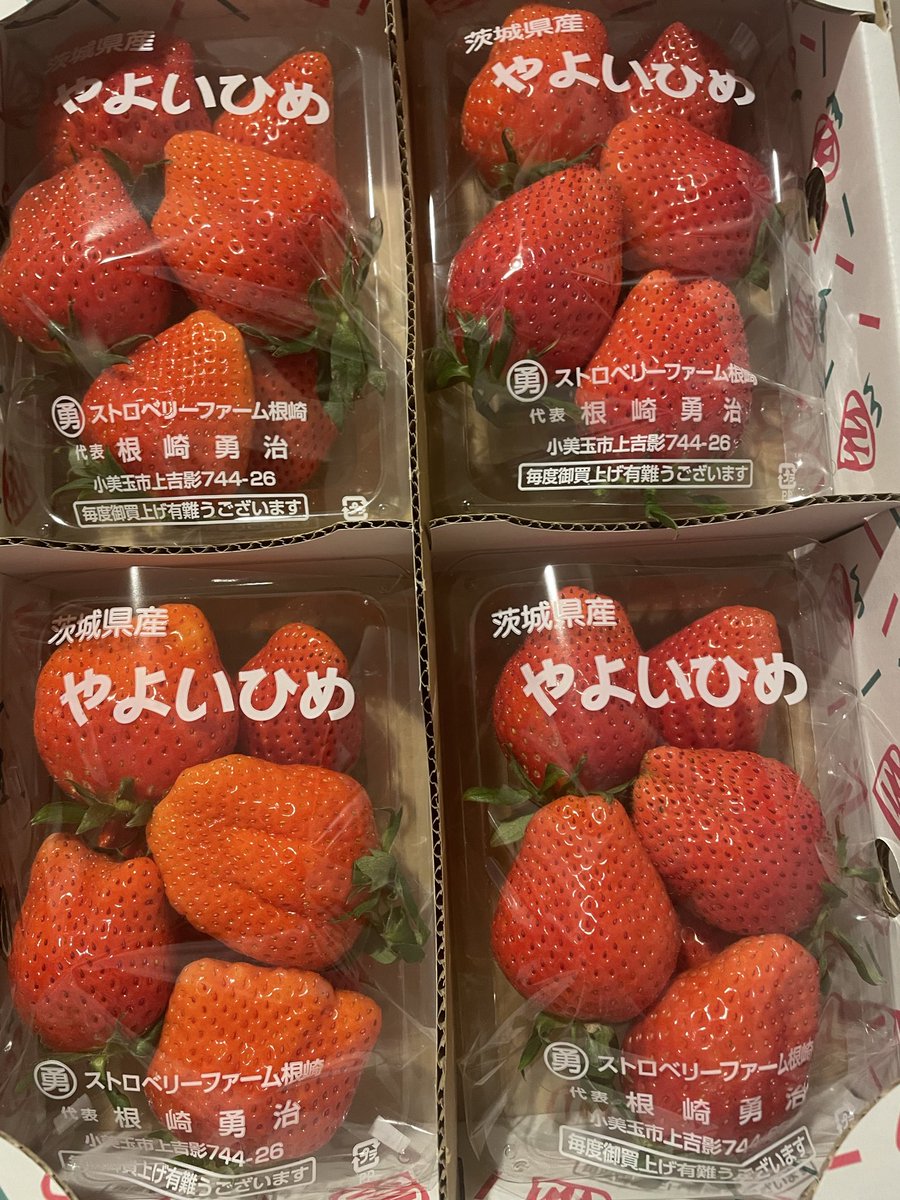 Megu*:.。 (@yu310yk) / Posts / X