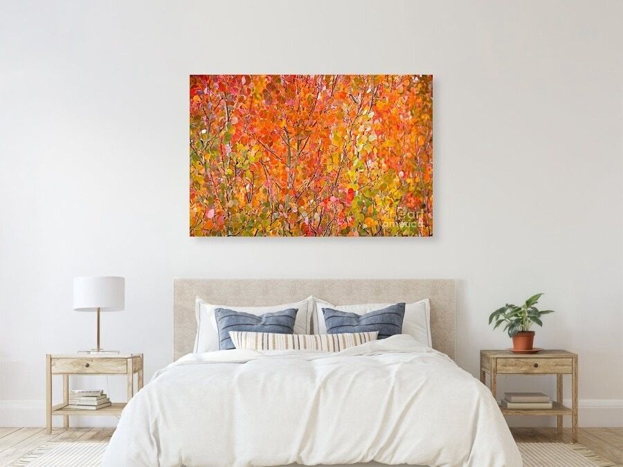 erinmdorffette's tweet image. A little #fallcolors fun with red #aspen leaves. #aspens #fallfoliage #autumn #fall #buyintoart #ArtoftheDay #artforsale #wallart #buyart #wallartforsale #photography #photooftheday 

faa.savingmemoriesbymakingmemories.com/featured/vibra…