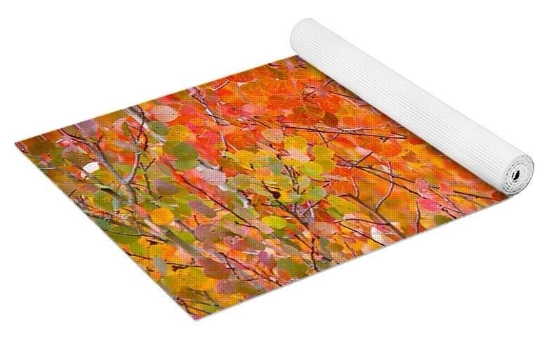 erinmdorffette's tweet image. A little #fallcolors fun with red #aspen leaves. #aspens #fallfoliage #autumn #fall #buyintoart #ArtoftheDay #artforsale #wallart #buyart #wallartforsale #photography #photooftheday 

faa.savingmemoriesbymakingmemories.com/featured/vibra…