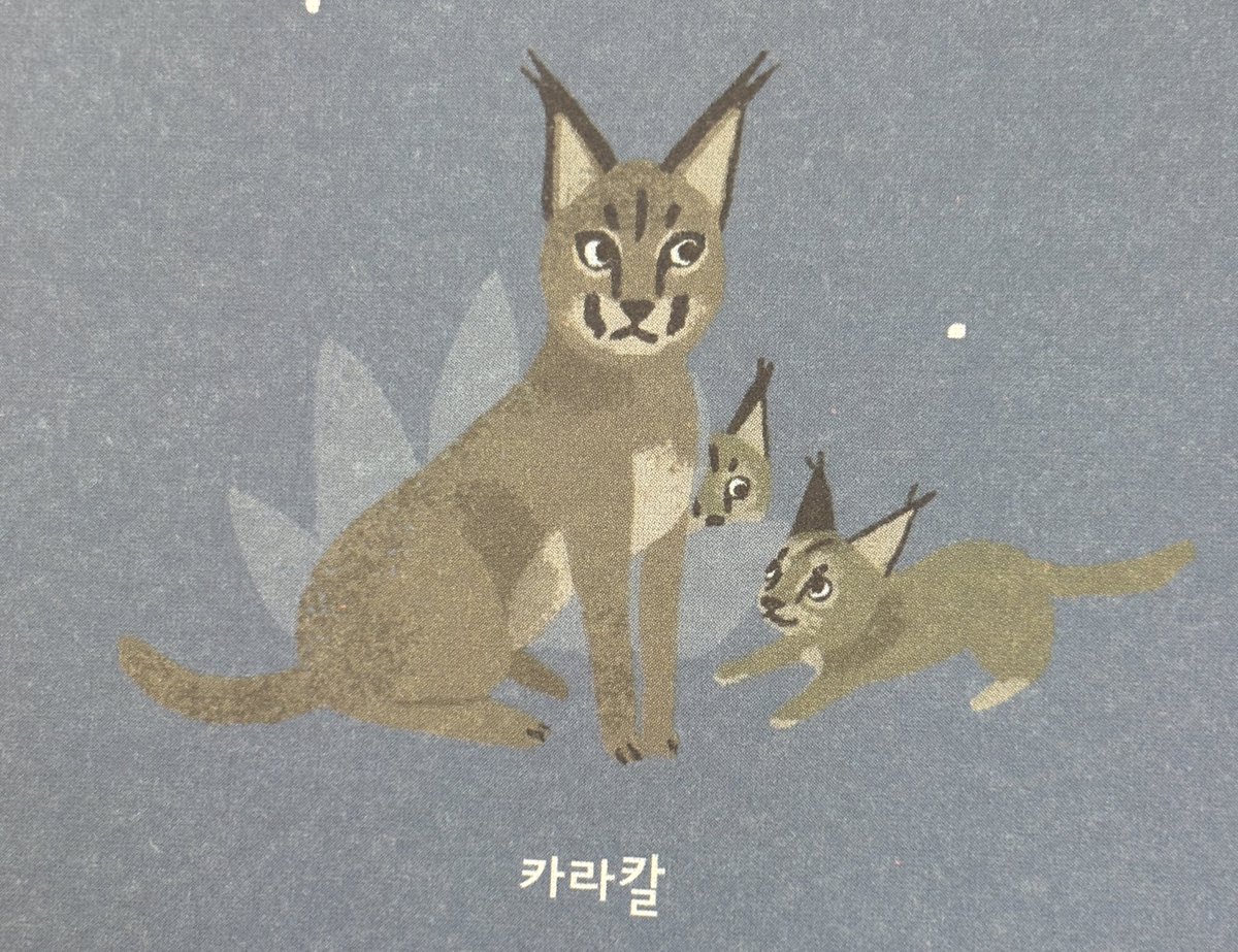 카라쟌 tweet media