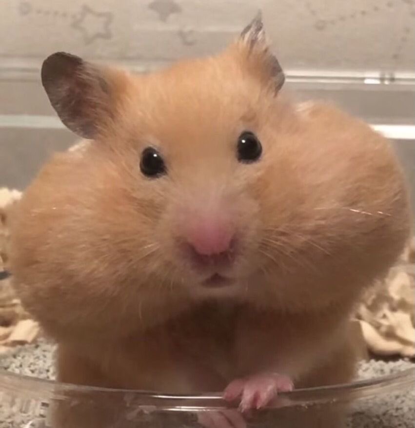 อันไหนตี๋ตุวจริง