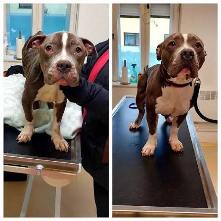 Josef Kvasnička tweet media