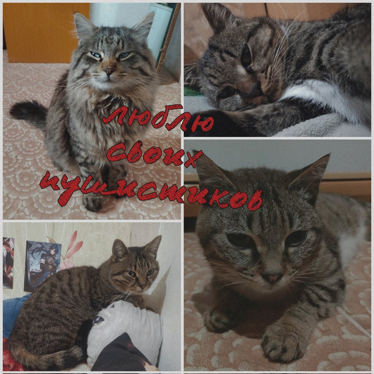 í'ต թҽɾsík tweet media