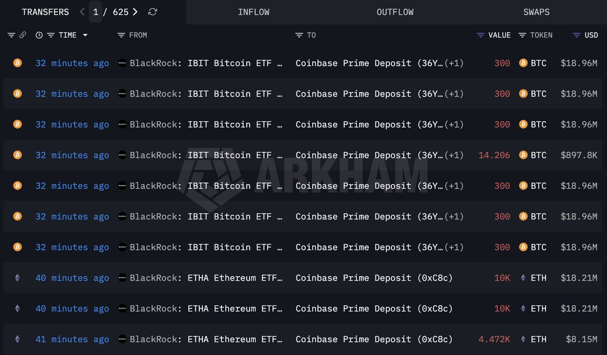 GrannyCatMeme 🐾 tweet media