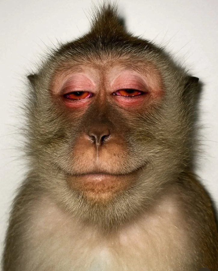 Hey <a href="/MeCo_Wallet/">MeCo</a> can i have some USDT (Asking for a friend, just kidding it's for me