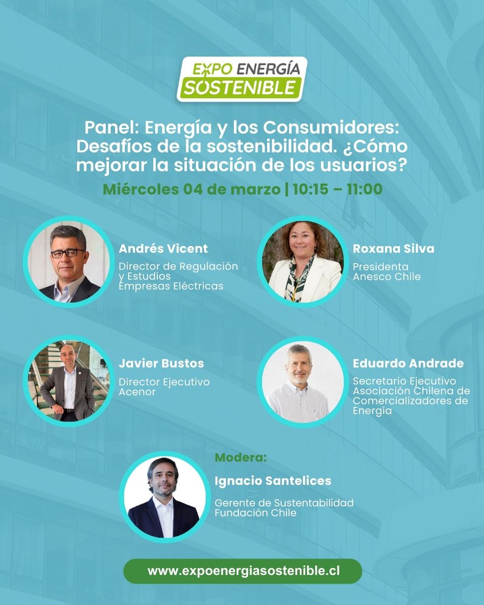 ANESCO CHILE A.G. tweet media