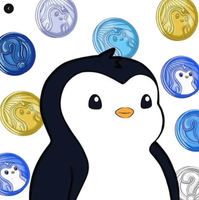 ndcollection tweet media