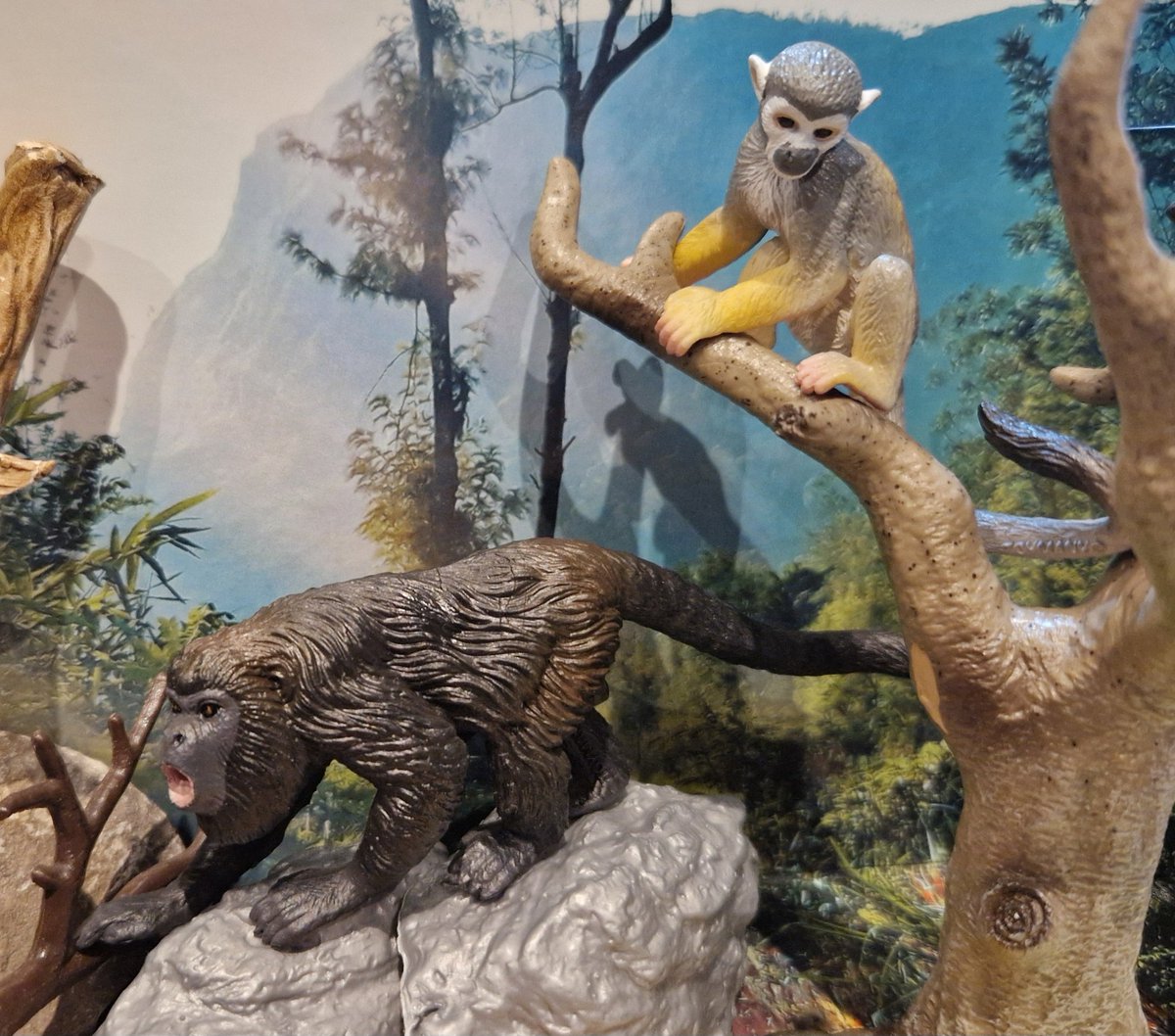 TetZoo's tweet image. If you like #primates, you really should get hold of the #ToyMany #monkeys and #apes set. Includes baboons. macaques, patas, howler and proboscis monkey, and others. Get it with a 10% discount at toymany.com/?sca_ref=95969… using code TMAMDN10 :)