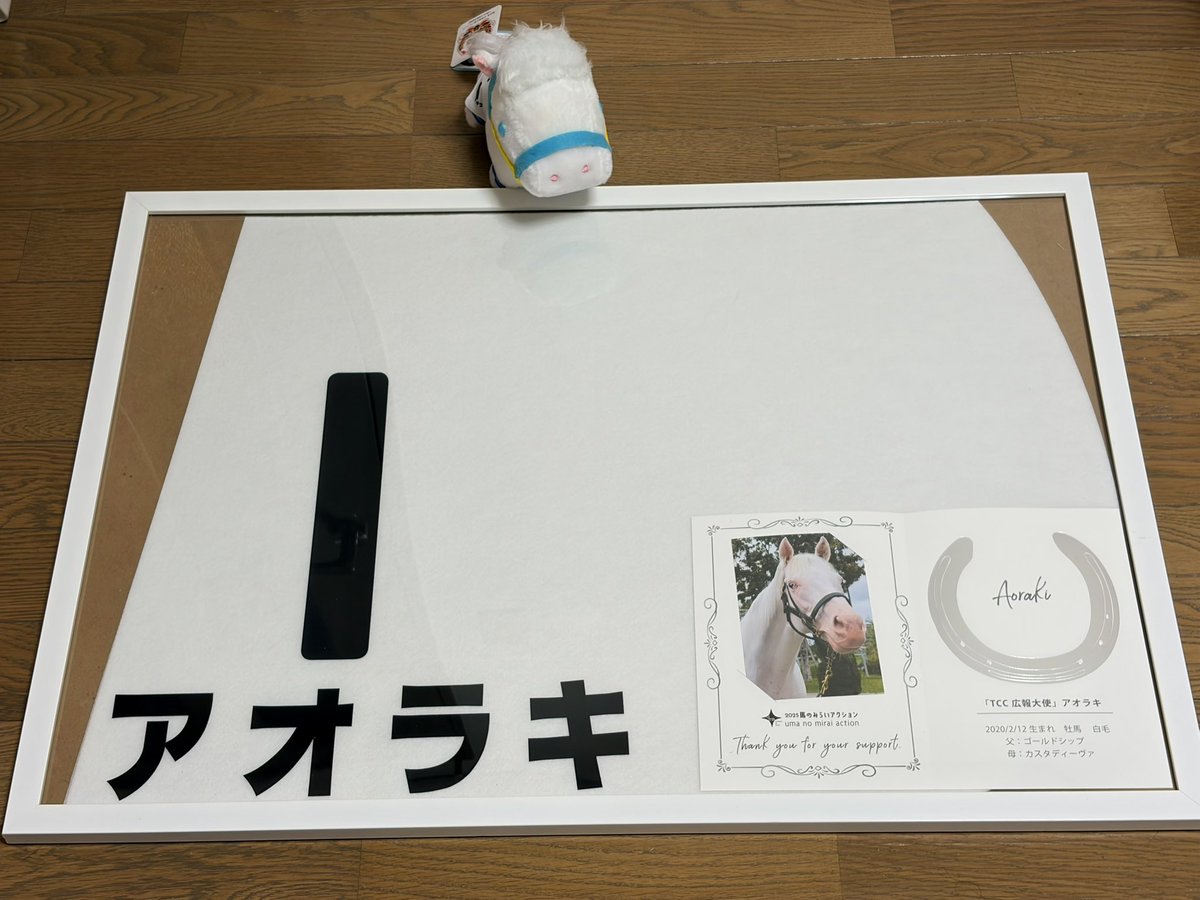 TCCさんからアオラキくんのレプリカゼッケン届きました、丁度使って