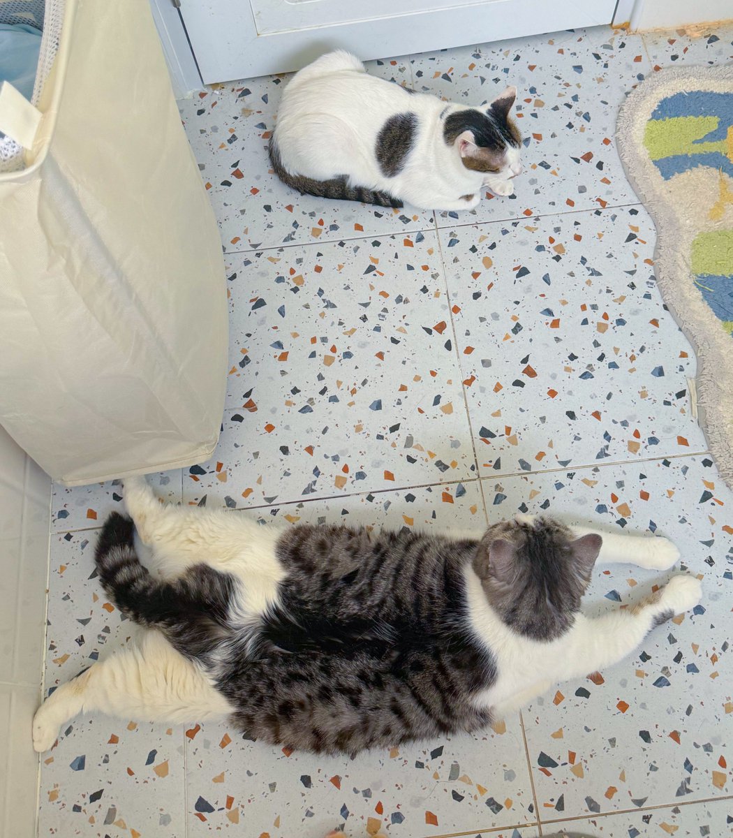 จิ๋วที่ตุวใหญ่ๆพอมาอยู่กับพิแล้วจิ๋วสมชื่อเลย พิเหมียนหมู!