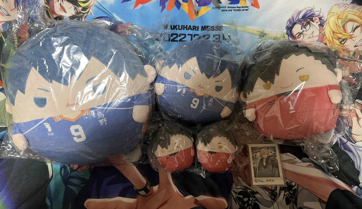 【拡散希望】
ハイキュー ぬいくじ の交換先を探しています。

(譲)
B賞　影山
C賞　影山、黒尾
D賞　黒尾×2

(求)
C、D賞木兎

郵送、時間が合えば都内、千葉手渡し可

難しいとは思いますがよろしくお願いします。