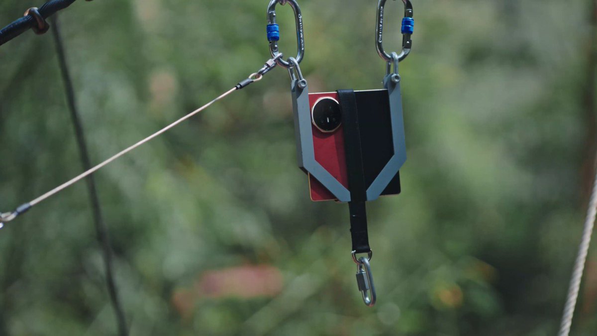 مذكر البصيص tweet media