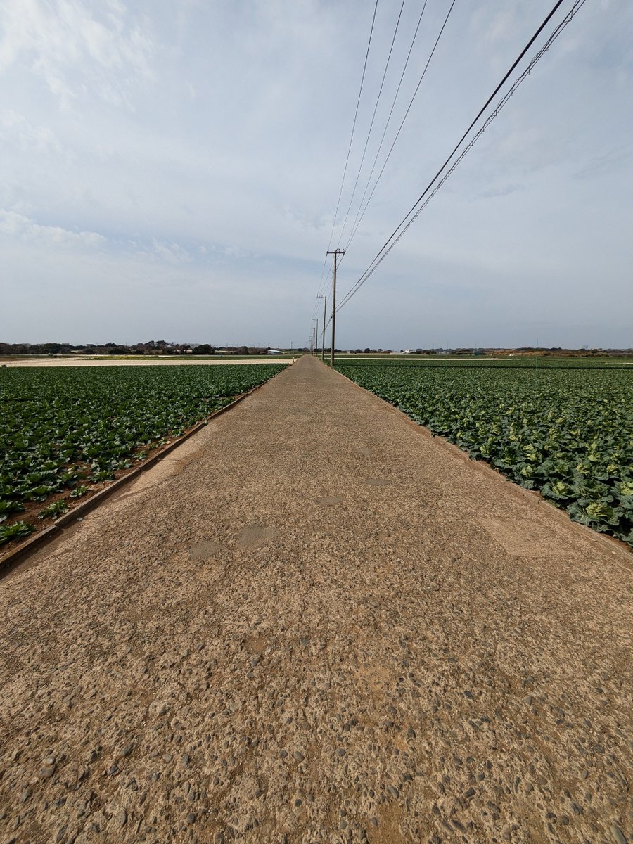 萩原健之 tweet media