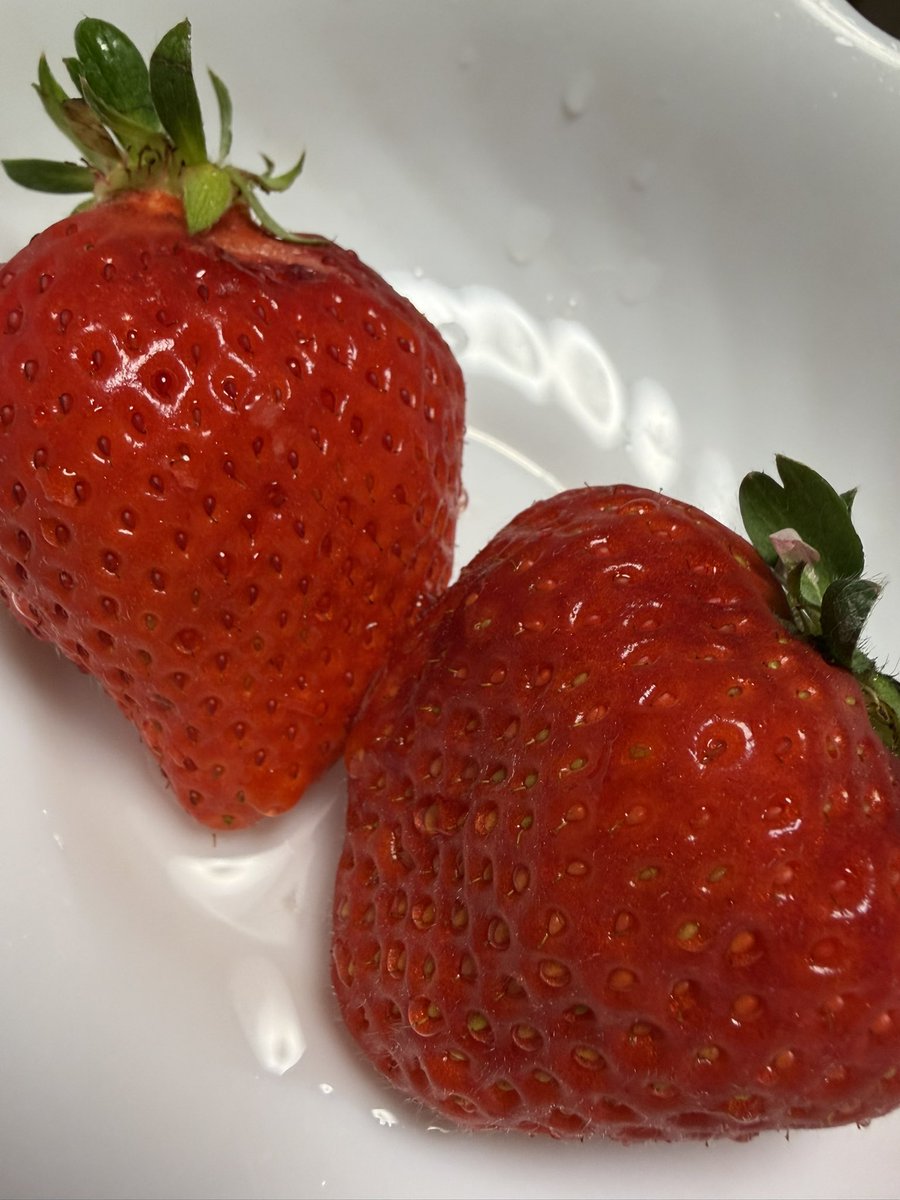 家族の退院祝いにあまおうを買って来たんだが凄く美味しかった
高いだけはある！