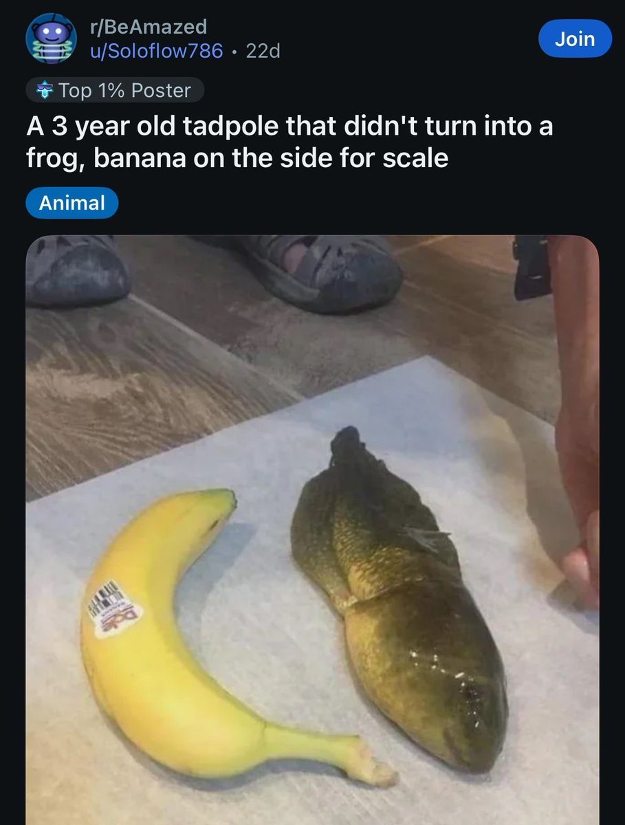 no context memes tweet media