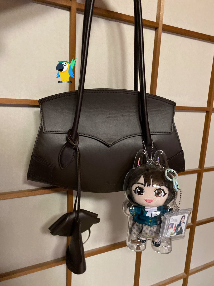 🎼YES OR NO❔ tweet media