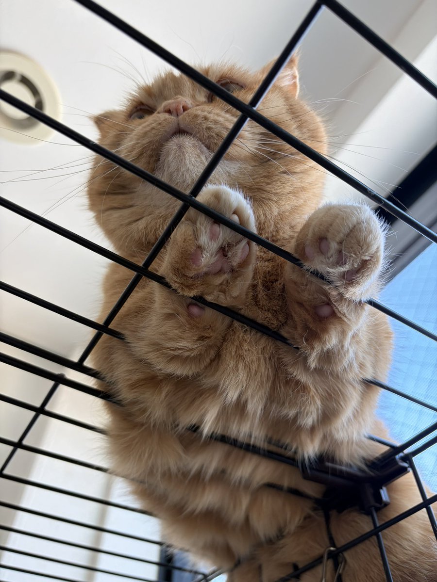 この眺め

絶景かな絶景かな