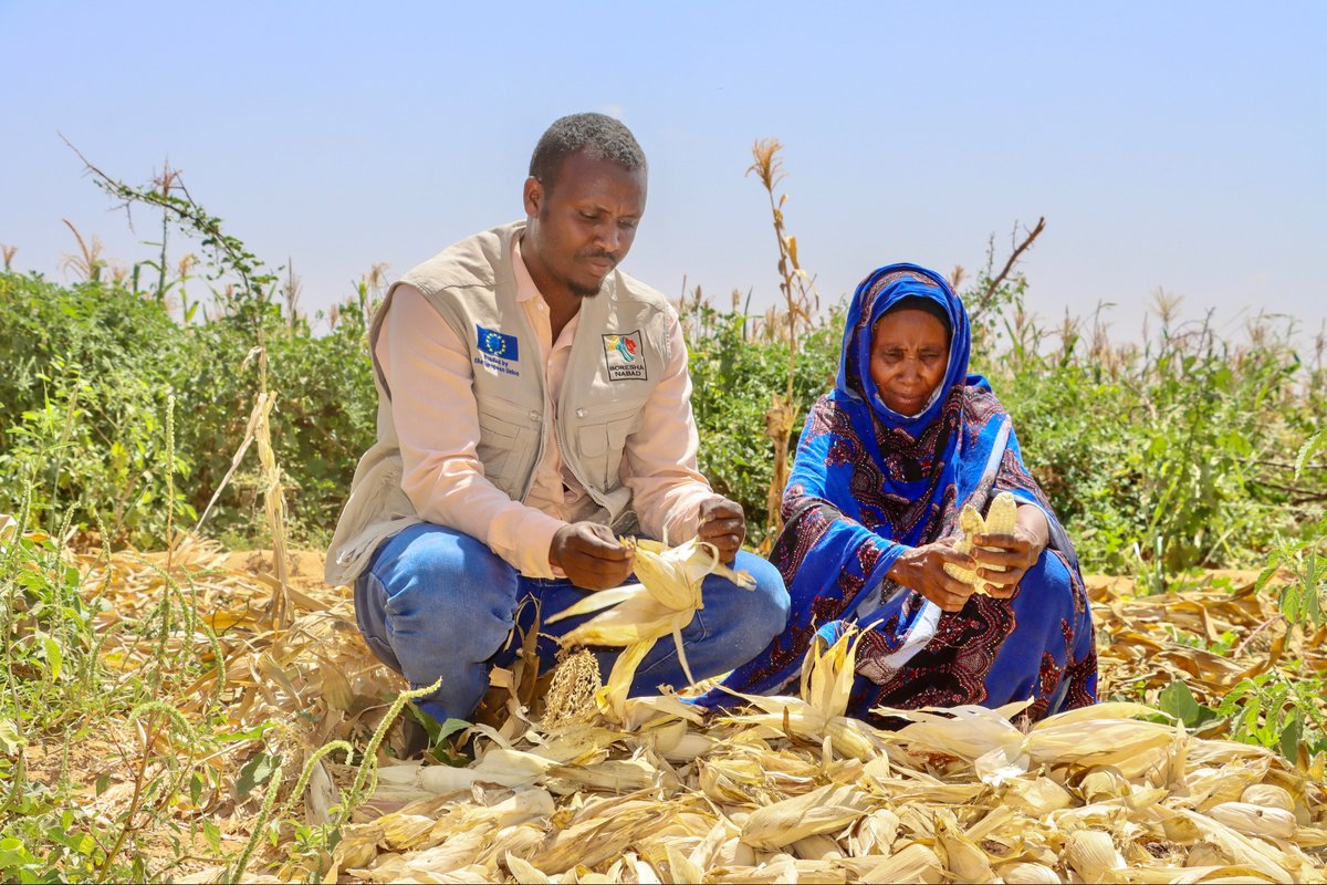 BORESHA- NABAD tweet media