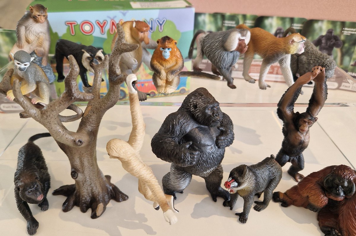 TetZoo's tweet image. If you like #primates, you really should get hold of the #ToyMany #monkeys and #apes set. Includes baboons. macaques, patas, howler and proboscis monkey, and others. Get it with a 10% discount at toymany.com/?sca_ref=95969… using code TMAMDN10 :)
