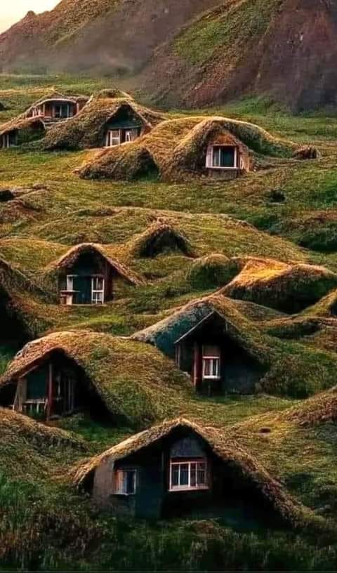 Estas casas están en Noruega, estan recubiertas de musgo, ésto es para que no salga el calor y no entre el frío; ésta ingenieria fué creada por los antiguos habitantes… 
 Los Vikingos.