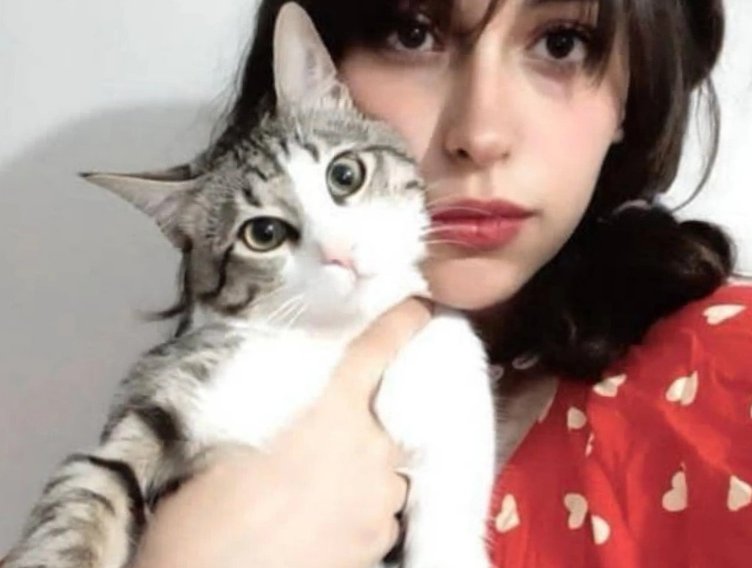 فیلی که توسط مار بوا خورده شد (@ba_bidi_bu) on Twitter photo 