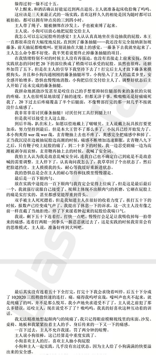 墨鱼不丸🐙 tweet media
