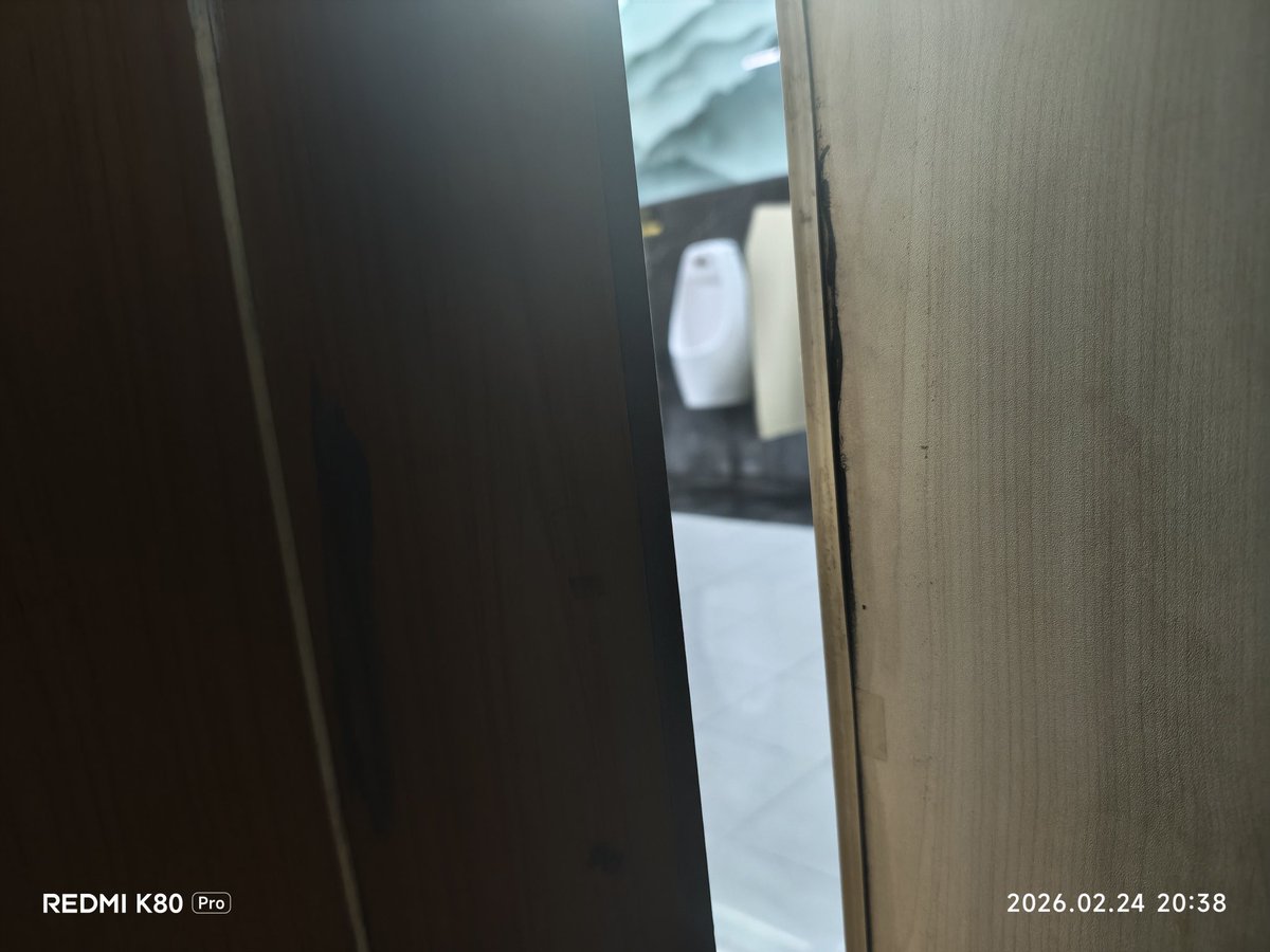 天天才不是肉便器 tweet media