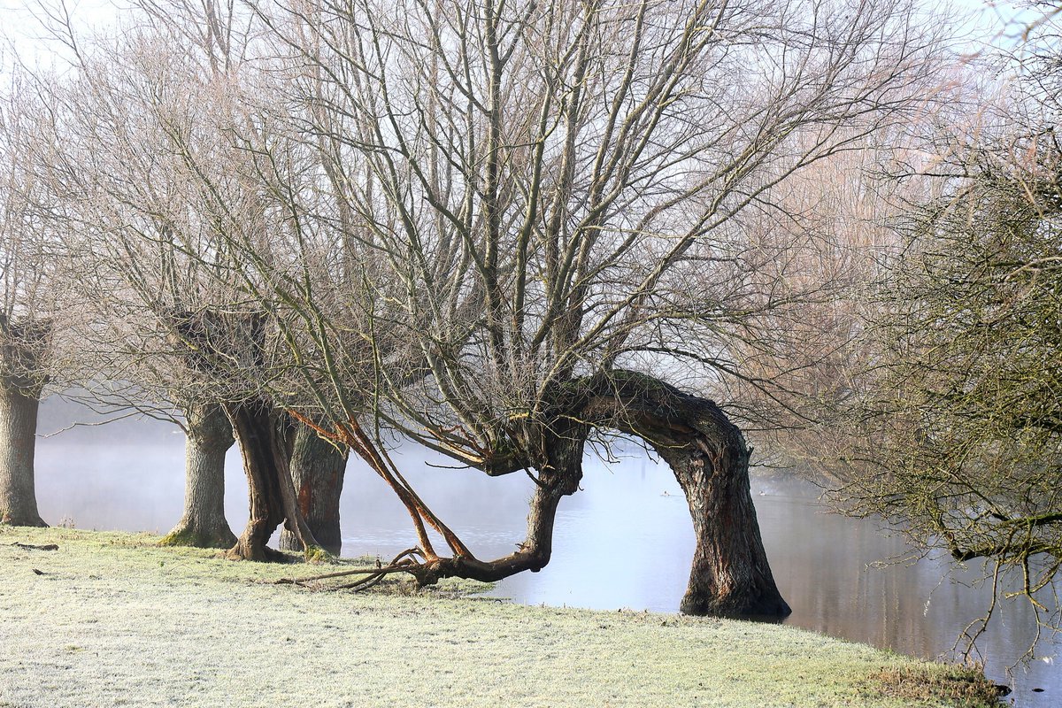 The willow woman.

Photo taken by The Henge Shop, Avebury.