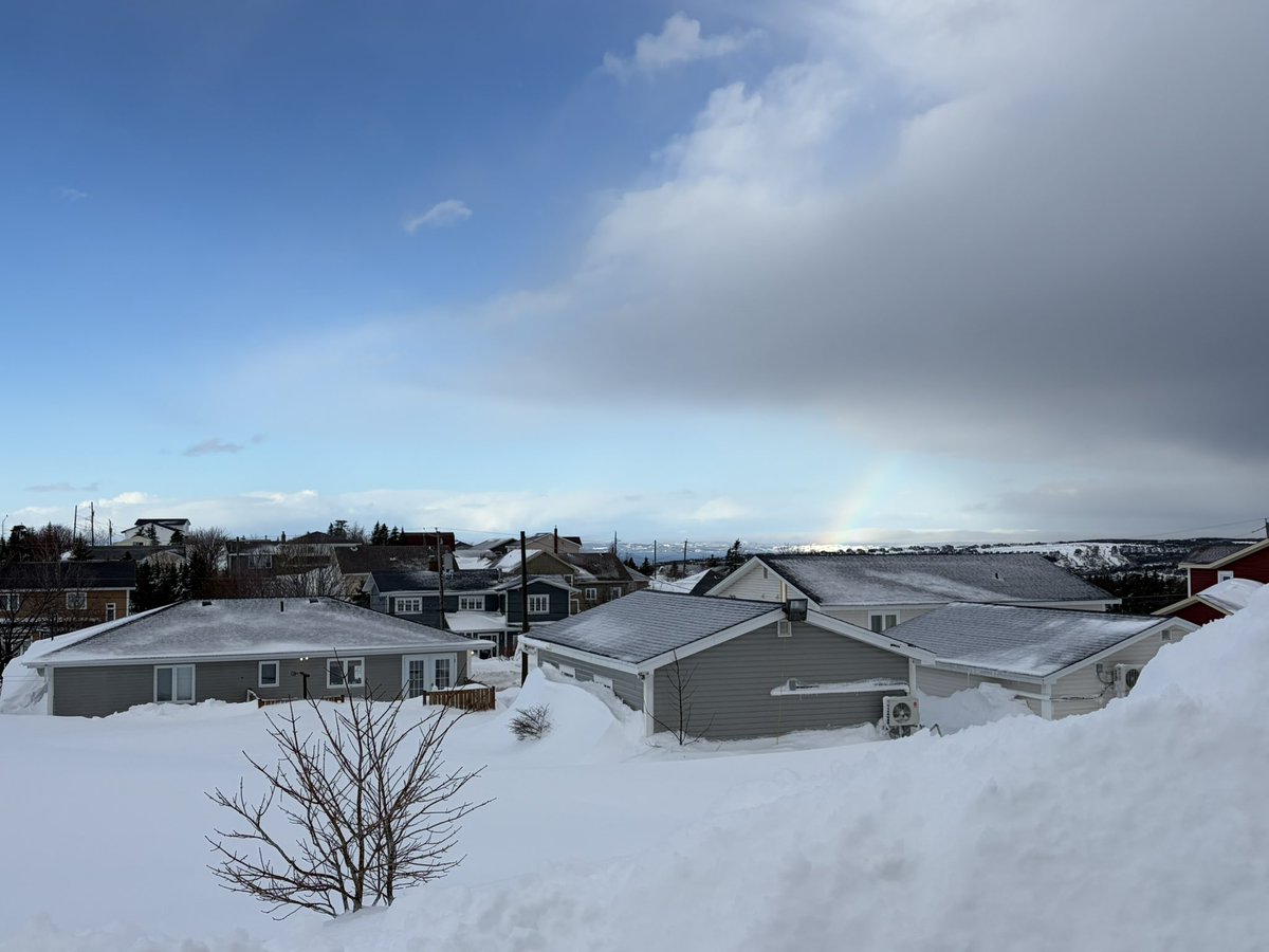 Wayne Walsh tweet media