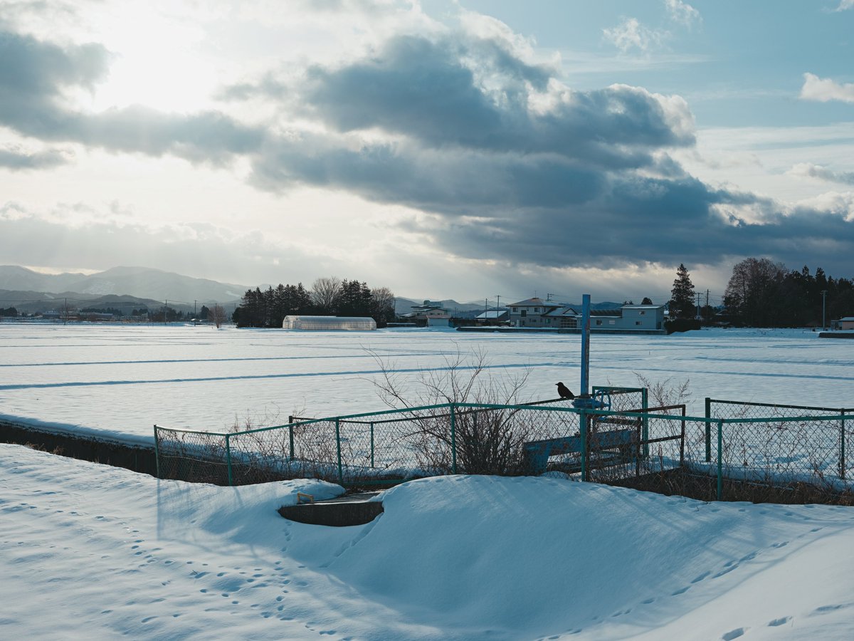 𝚖𝚘𝚗𝚔𝚢𝙳𝙸𝙾 (@monkydio) on Twitter photo 