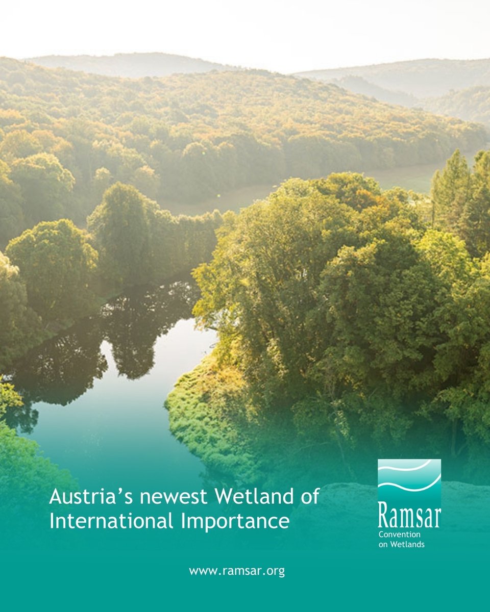 RamsarConv's tweet image. #ExcitingNews: Austria has designated a new #RamsarSite that is part of a cross-border national park with Czechia. Characterized by a diverse ecology, Transboundary Ramsar Site Podyjí – Thayatal National Park, Part Austria includes a lake and a swamp forest.