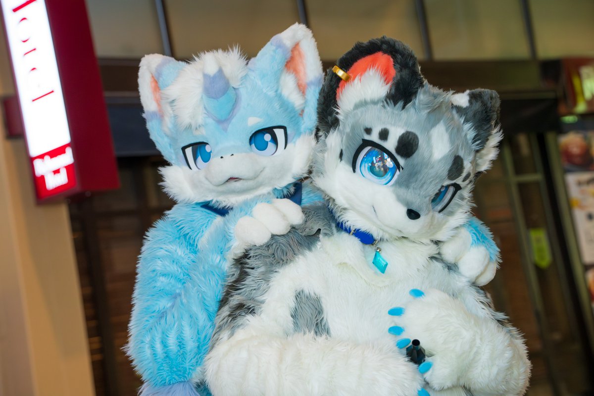 まさやん (@masayanograph) / Posts / X